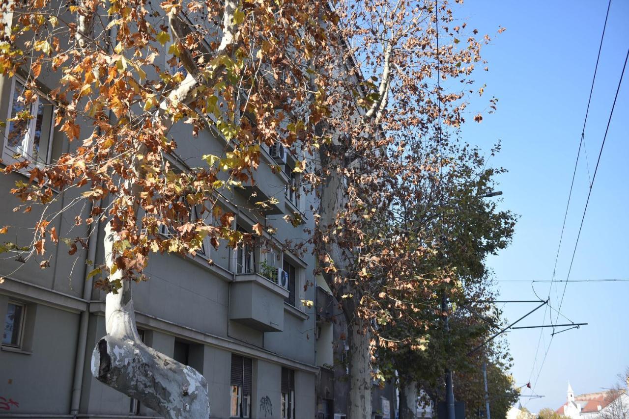 Friendly Home Apartment Belgrad Exterior foto